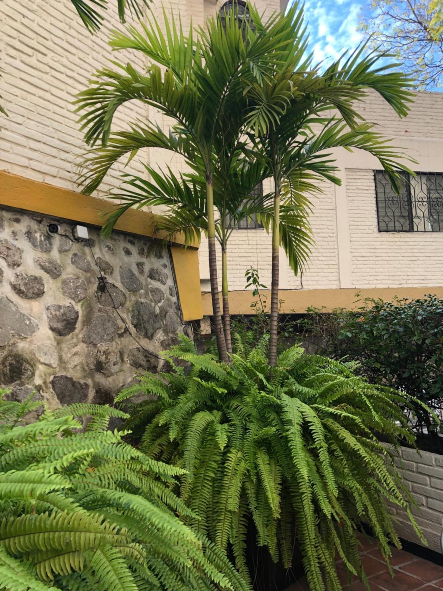 Hotel Ilebal Cuernavaca Centro - Lugar Con Encanto! Eksteriør billede