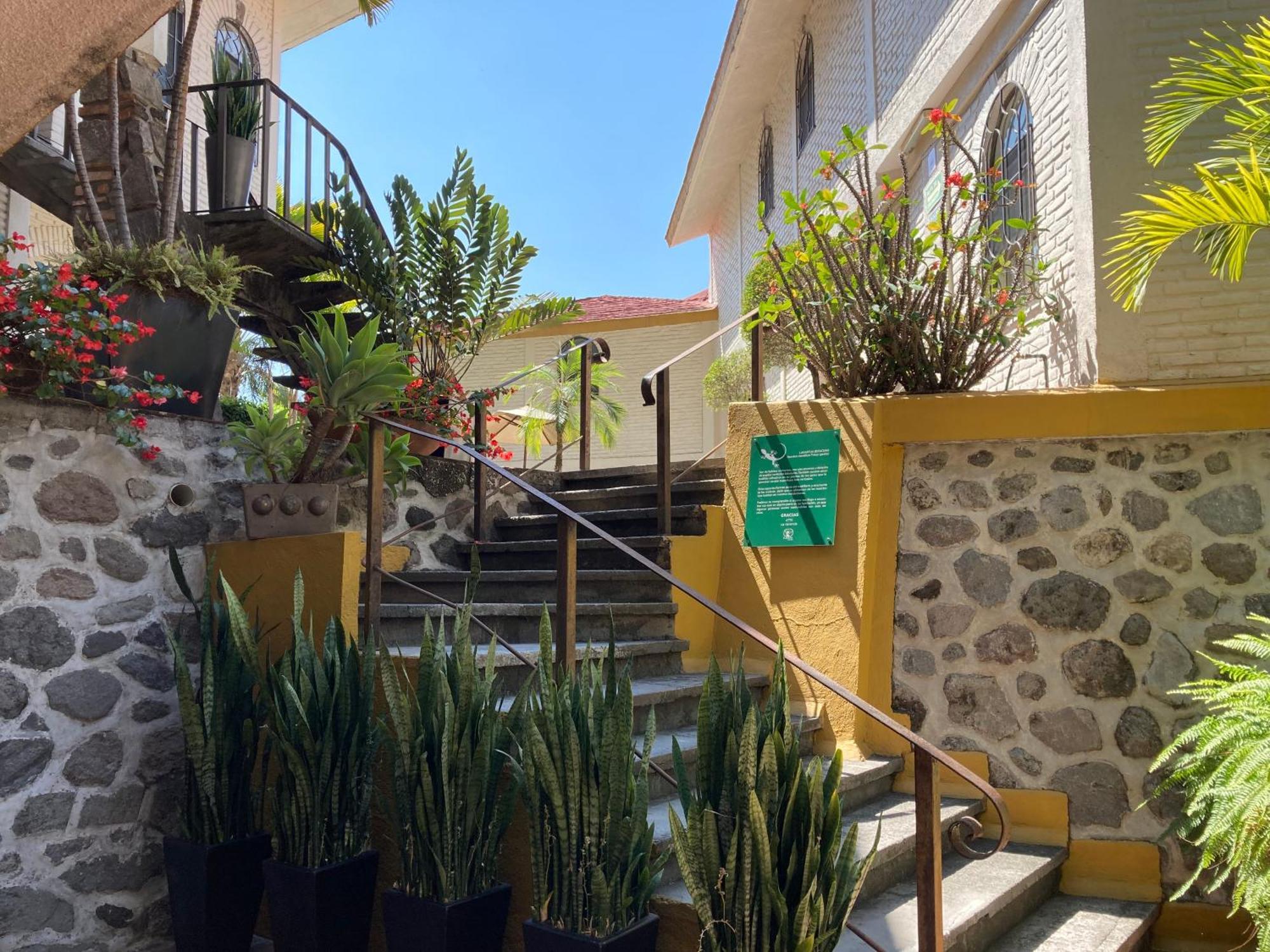Hotel Ilebal Cuernavaca Centro - Lugar Con Encanto! Eksteriør billede