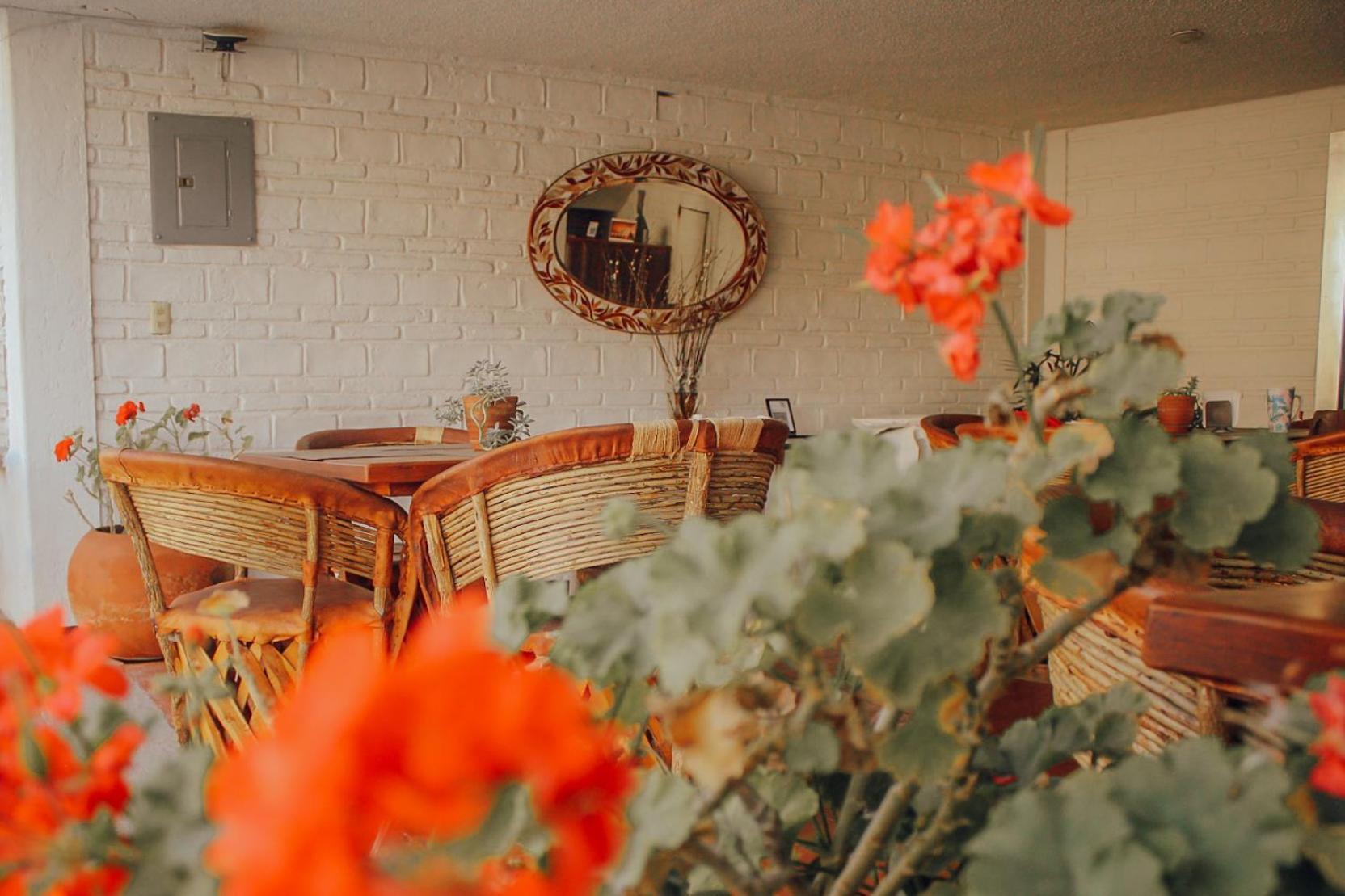 Hotel Ilebal Cuernavaca Centro - Lugar Con Encanto! Eksteriør billede