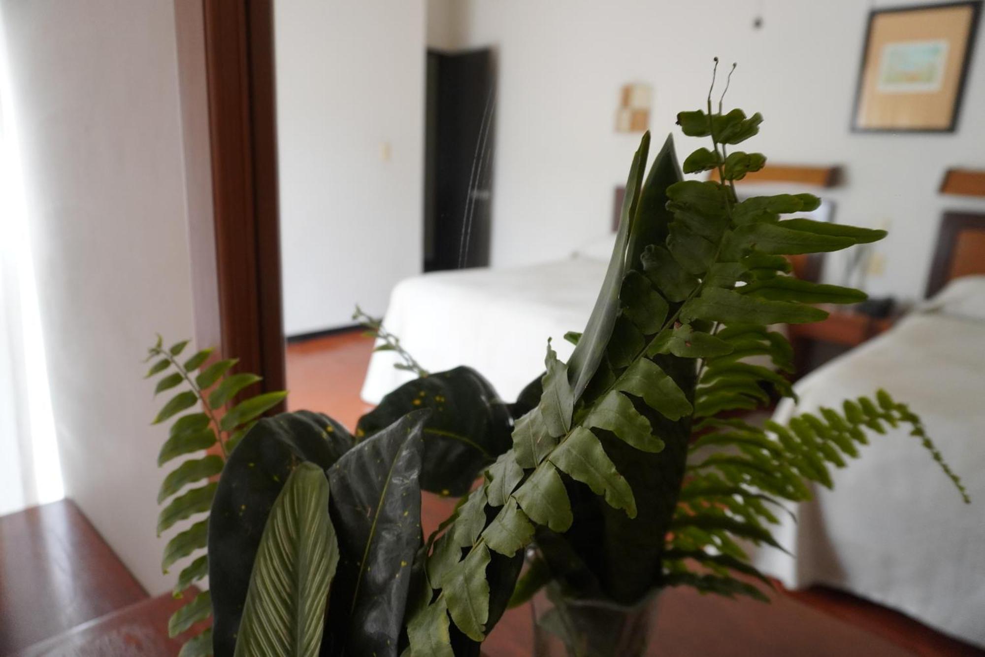 Hotel Ilebal Cuernavaca Centro - Lugar Con Encanto! Eksteriør billede