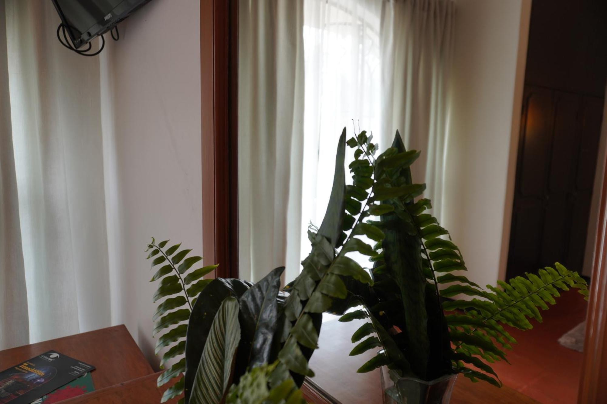 Hotel Ilebal Cuernavaca Centro - Lugar Con Encanto! Eksteriør billede
